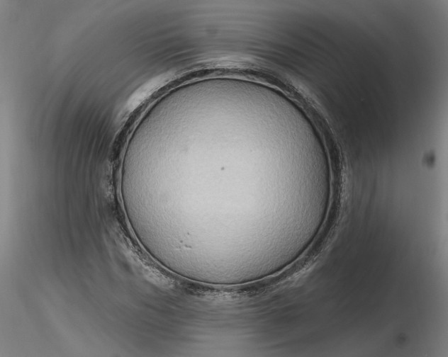 X0000116490970200912231148