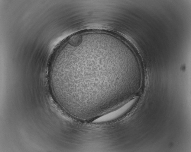 X0000116490971200912231148