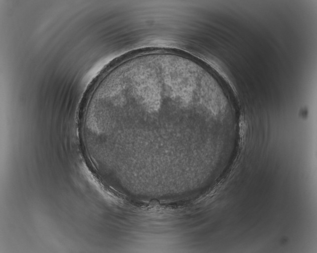 X0000116490972200912231148