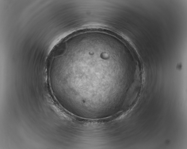 X0000116490973200912231148