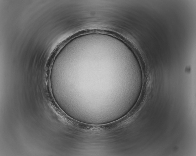 X0000116490974200912231148