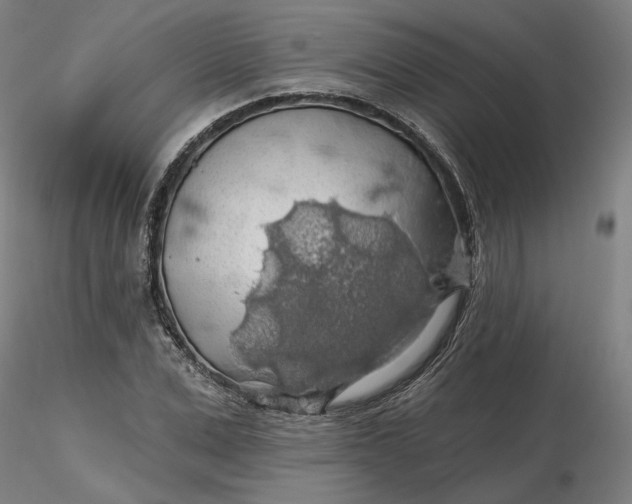 X0000116490975200912231148