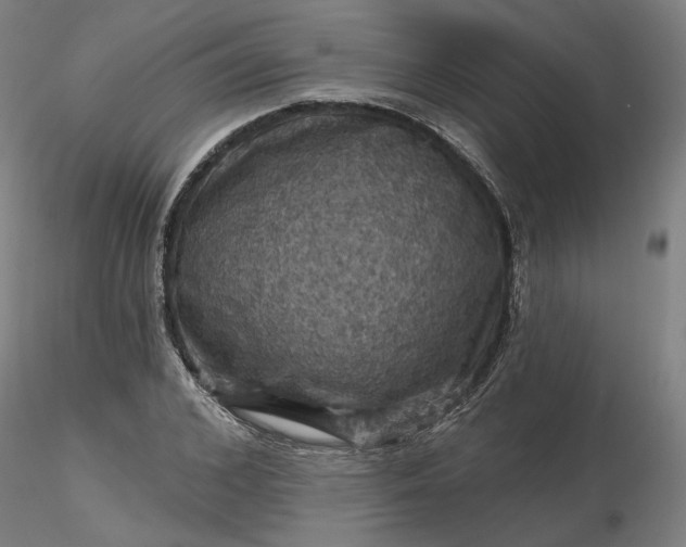 X0000116490976200912231148