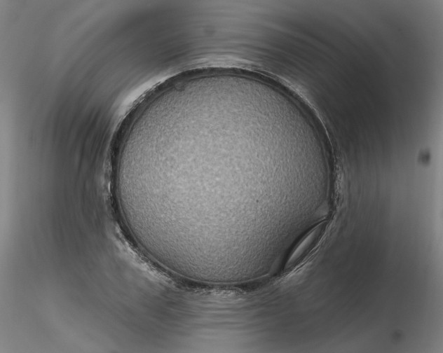 X0000116490979200912231148