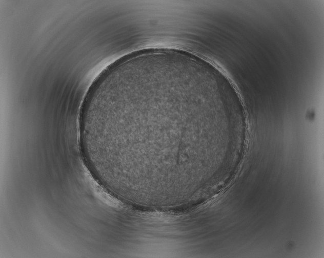 X0000116490980200912231148