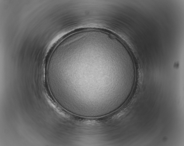 X0000116490982200912231148