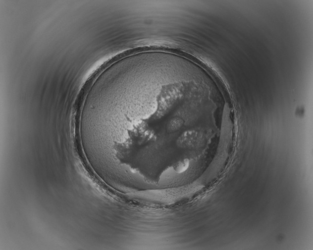 X0000116490983200912231148