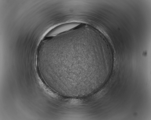 X0000116490984200912231148