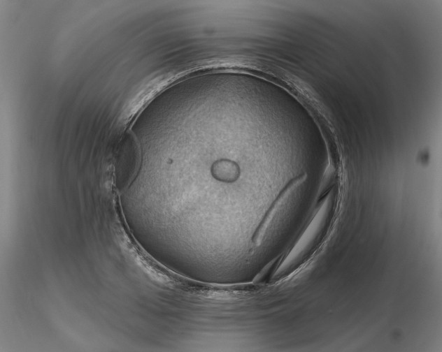 X0000116490985200912231148