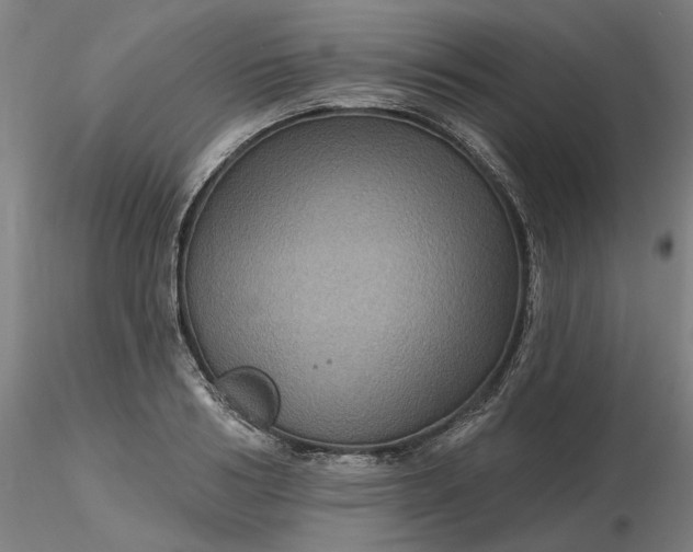 X0000116490986200912231148