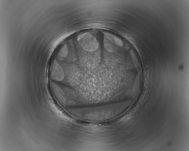 X0000116490987200912231148