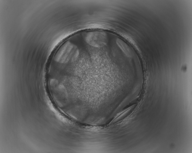 X0000116490991200912231148