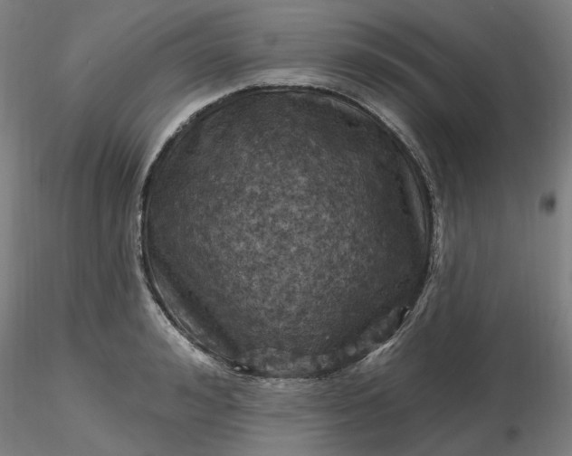 X0000116490992200912231148