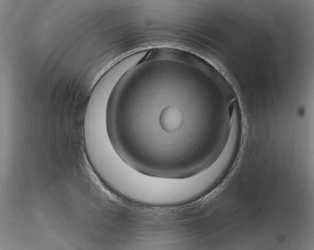 X0000116490993200912231148