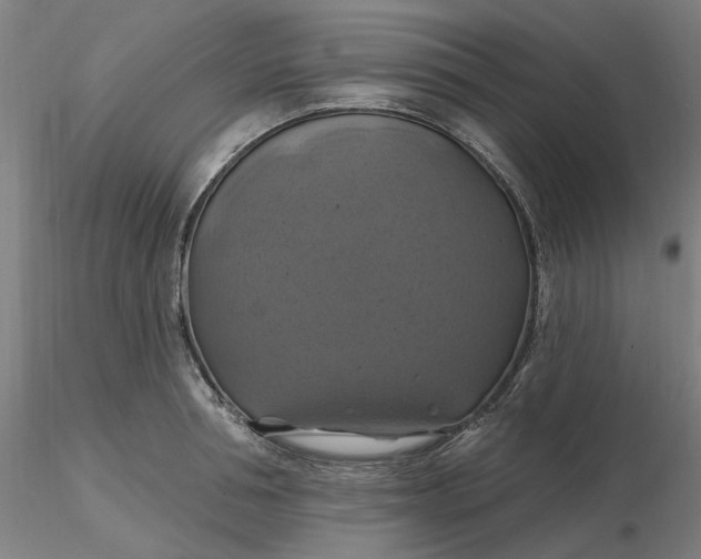 X0000116490994200912231148