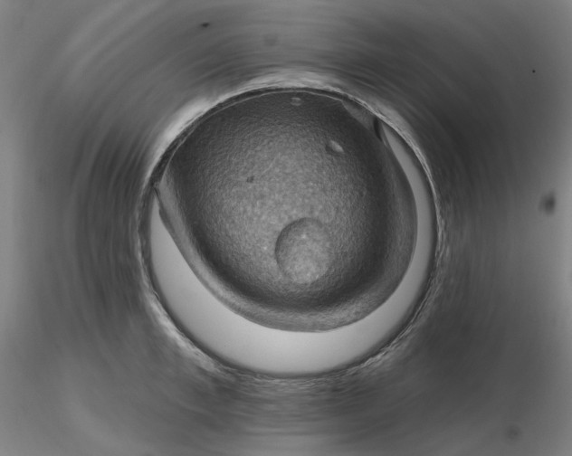 X0000116490997200912231147