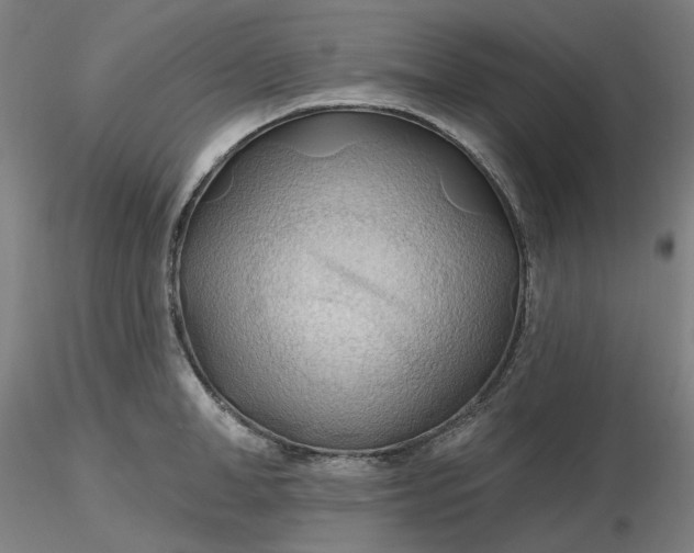 X0000116490998200912231147