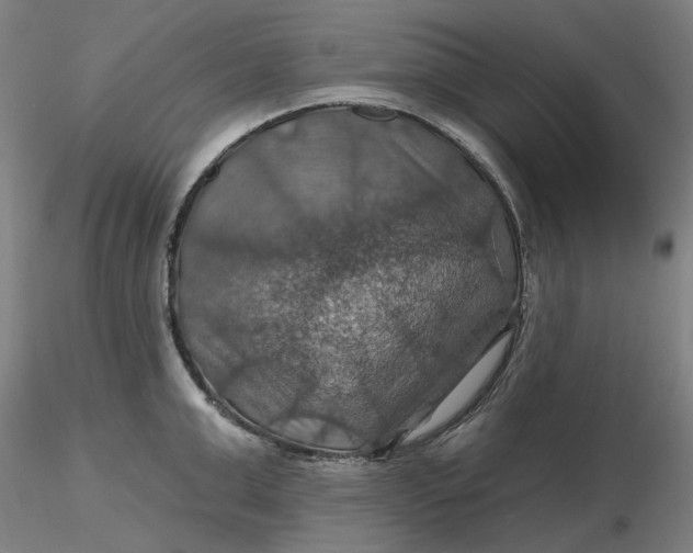 X0000116490999200912231147