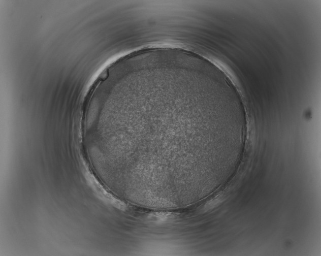 X0000116491000200912231147