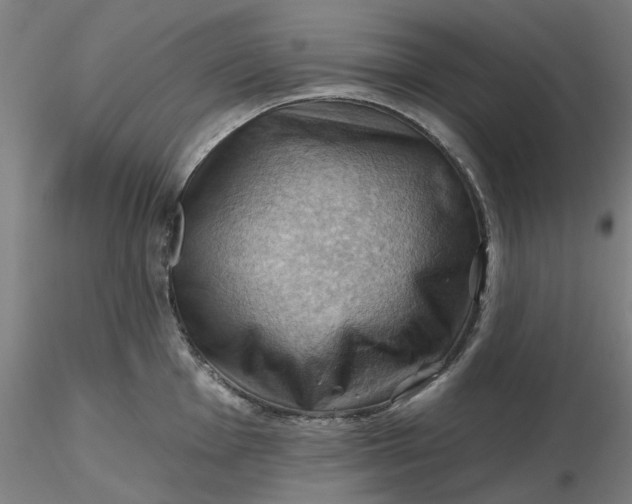 X0000116491001200912231147