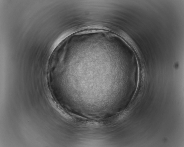 X0000116491002200912231147