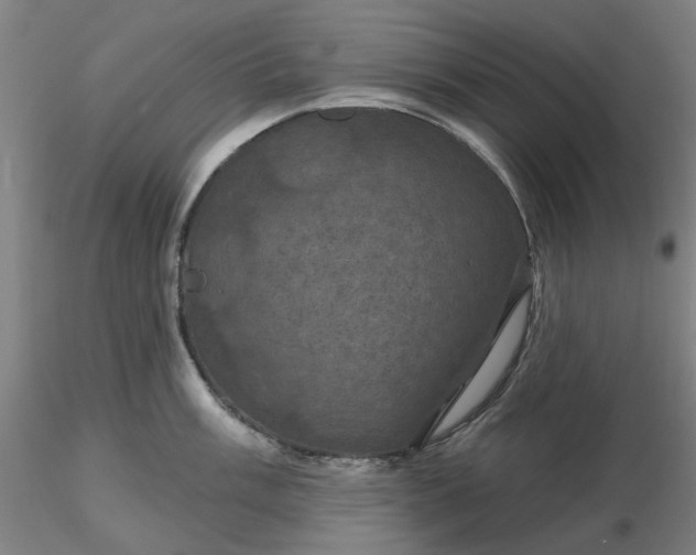 X0000116491003200912231147