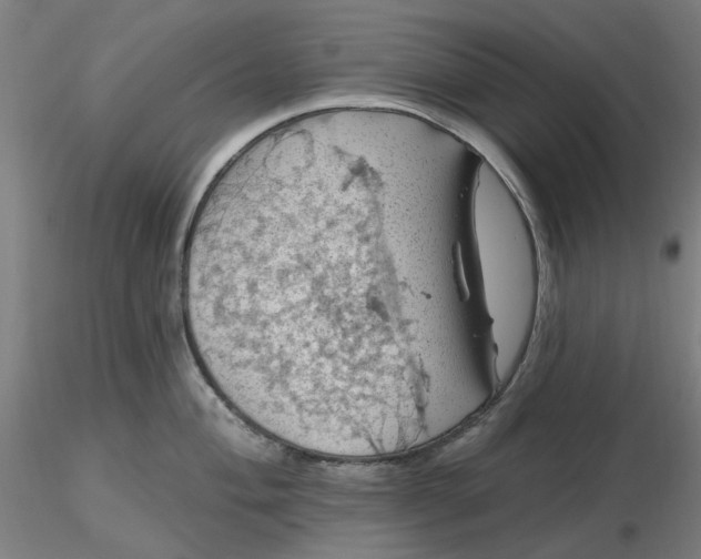 X0000116491004200912231147