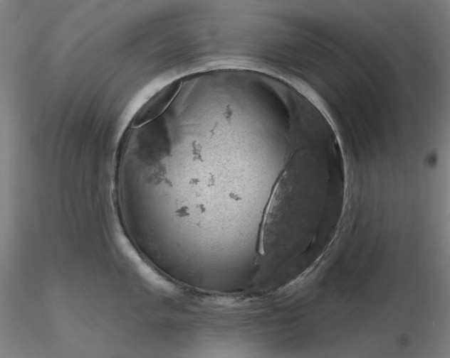 X0000116491005200912231147