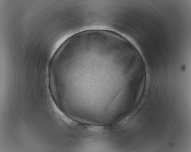 X0000116491006200912231147