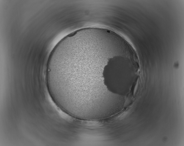 X0000116491007200912231147