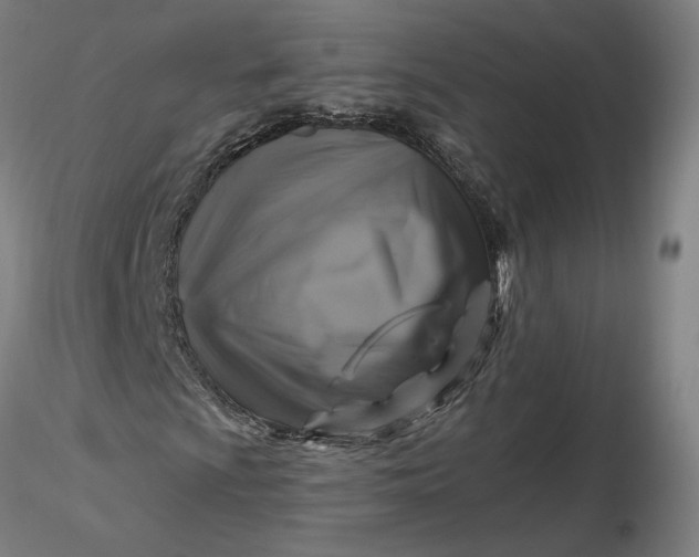 X0000116491009200912231147