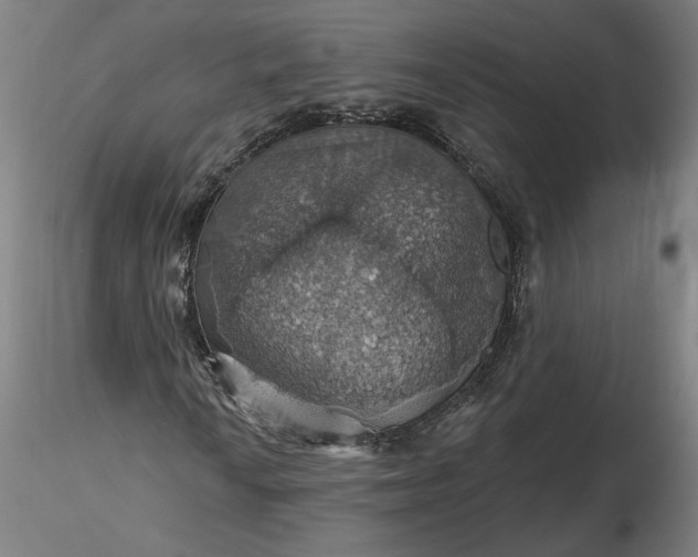 X0000116491010200912231147