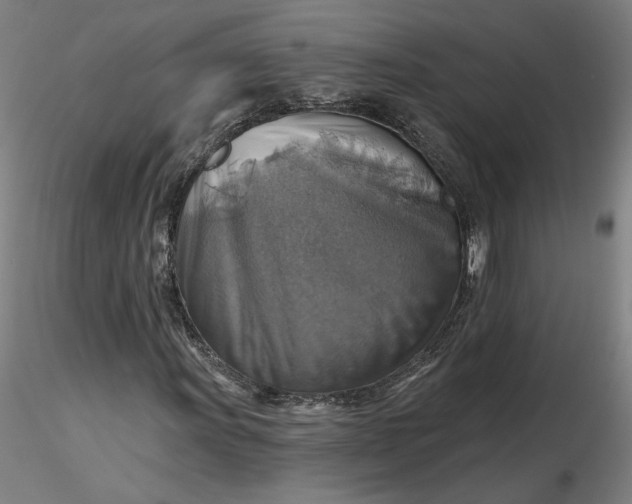 X0000116491011200912231147