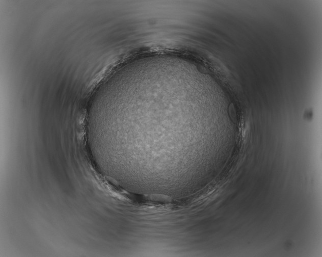 X0000116491012200912231147