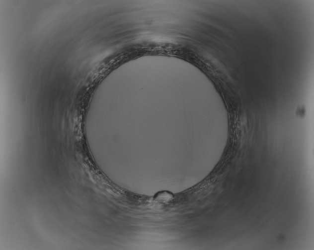 X0000116491013200912231147