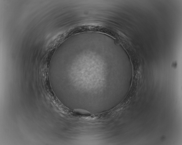 X0000116491014200912231147