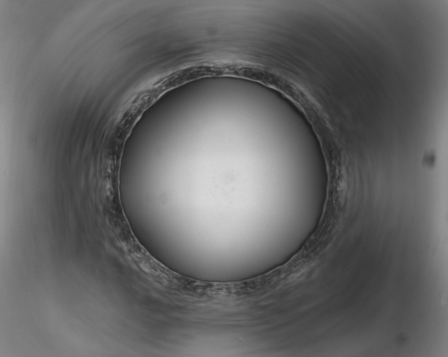 X0000116491016200912231147