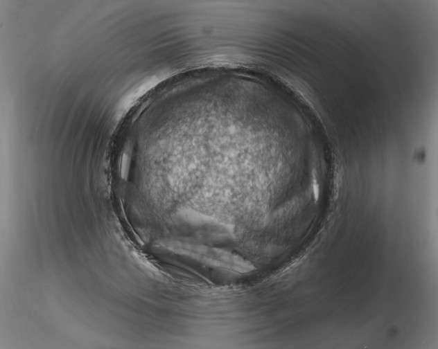 X0000116491018200912231147