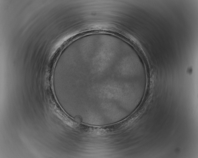 X0000116491019200912231147