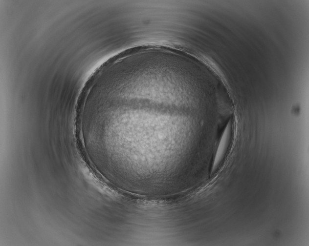 X0000116491020200912231147