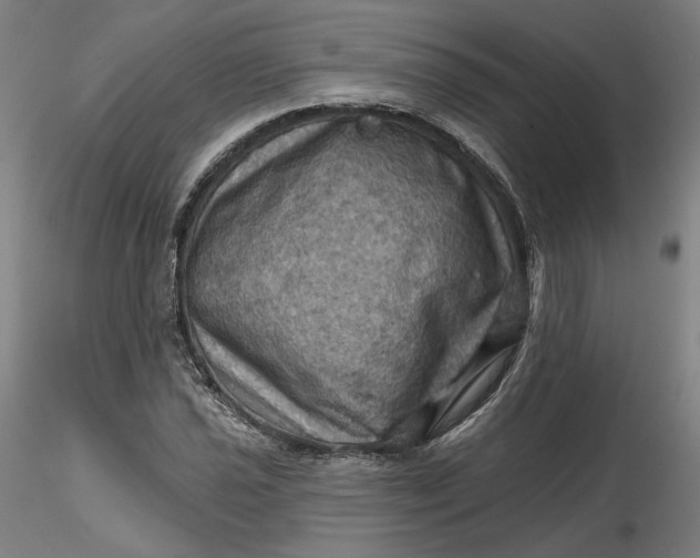 X0000116491021200912231147