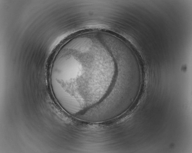 X0000116491022200912231147