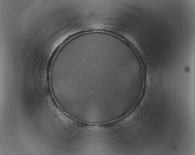 X0000116491023200912231147