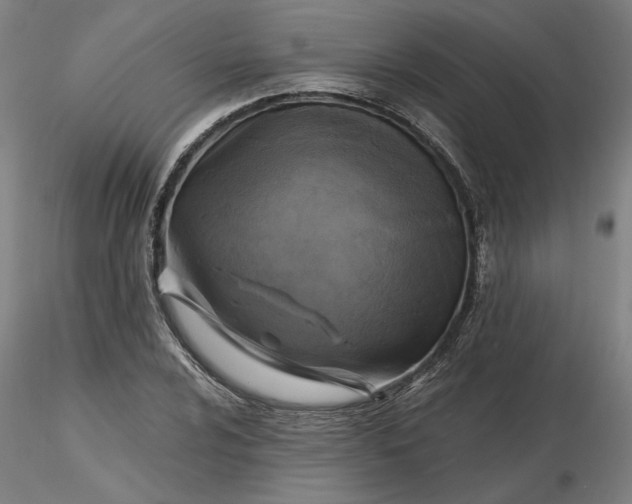 X0000116491024200912231147