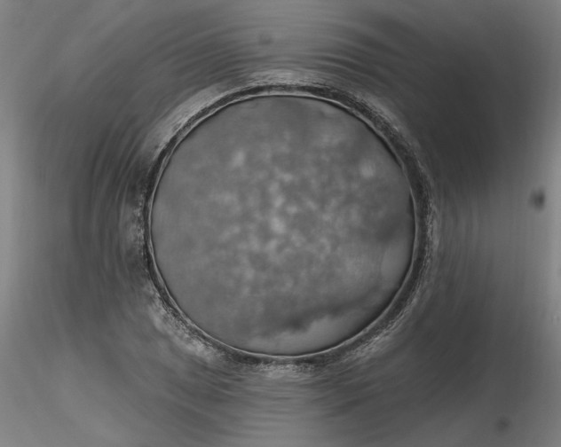 X0000116491025200912231147