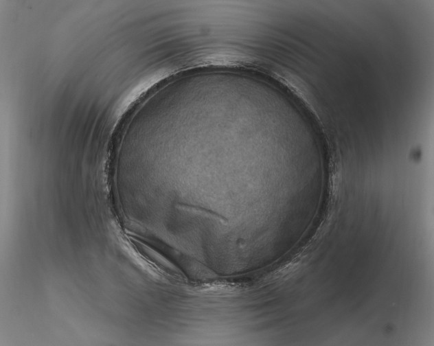 X0000116491026200912231147