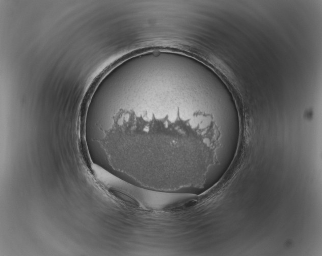 X0000116491028200912231147