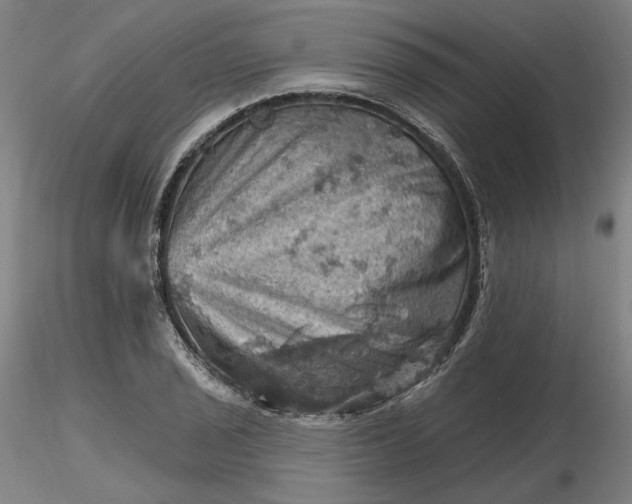 X0000116491029200912231147