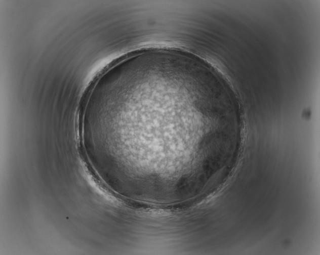 X0000116491030200912231147