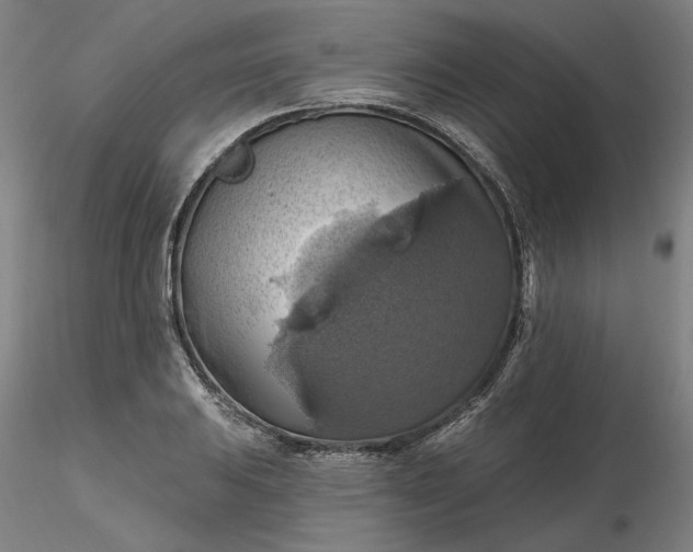 X0000116491031200912231147